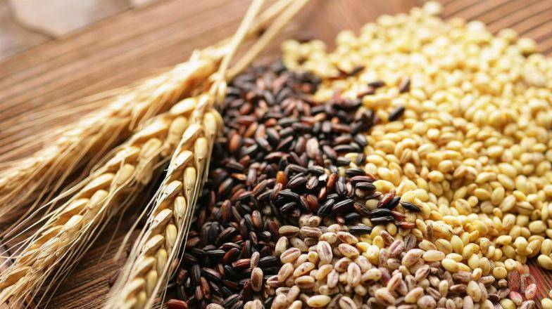 ТОП-3 найбільші імпортери української пшениці та кукурудзи
