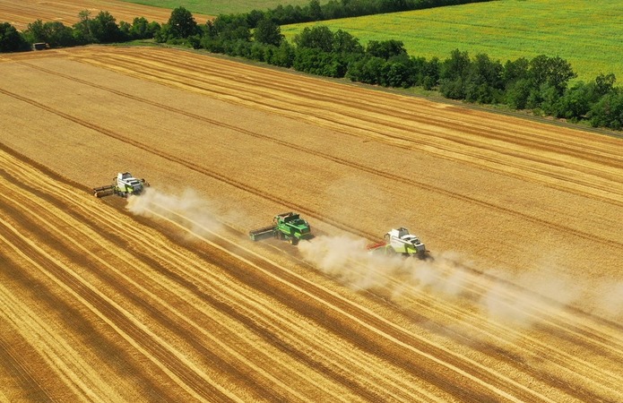 У Ristone Holdings завершилася збиральна компанія ранніх зернових