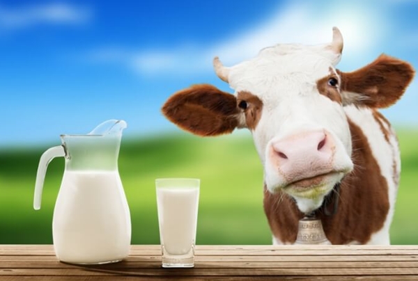 АВМ рекомендує погоджувати ціни на молоко-сировину без ПДВ