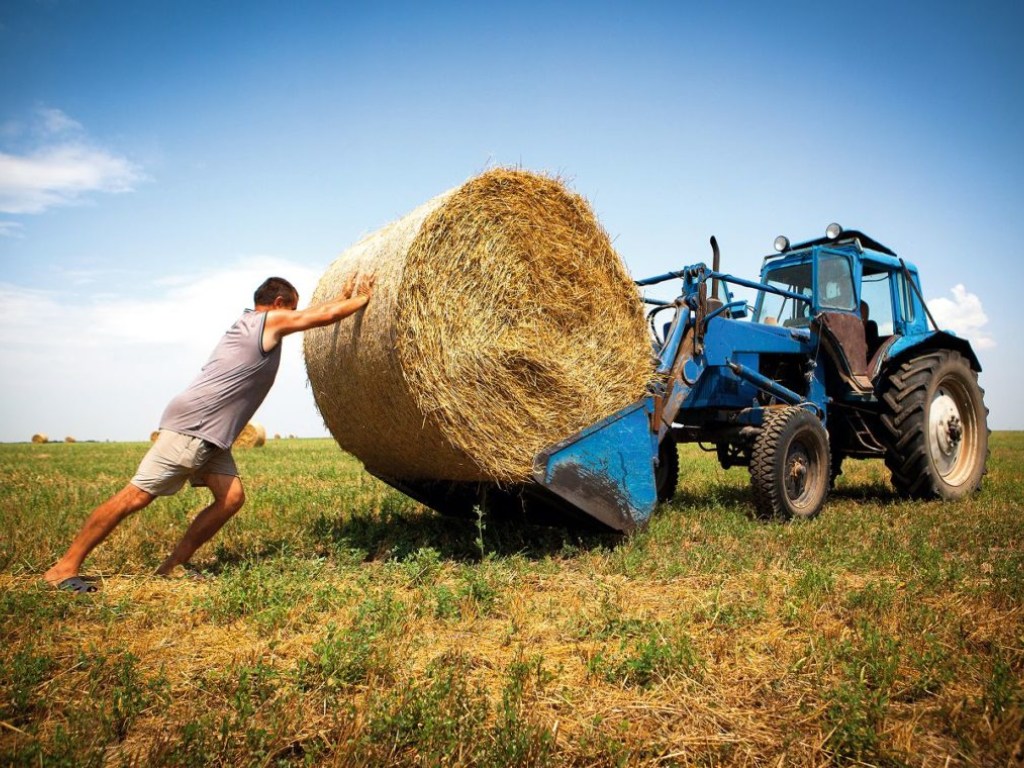 В Україні на фермерів припадає лише 10% агровиробництва