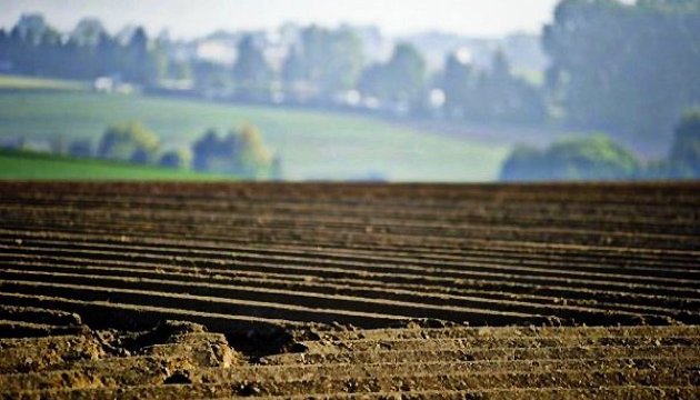 Влада продасть низку збиткових аграрних підприємств із землею