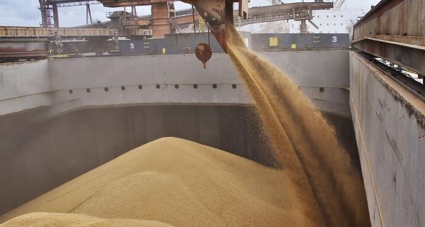 З початку сезону Україна експортувала майже 2,5 млн тонн зерна