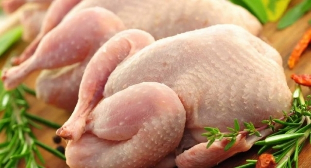 Українські виробники курятини масово рекламують відсутність антибіотиків, але тільки один з них реально пройшов тест