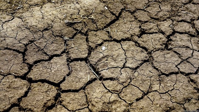 Частина України через 30 років стане пустелею – науковець про зміни клімату