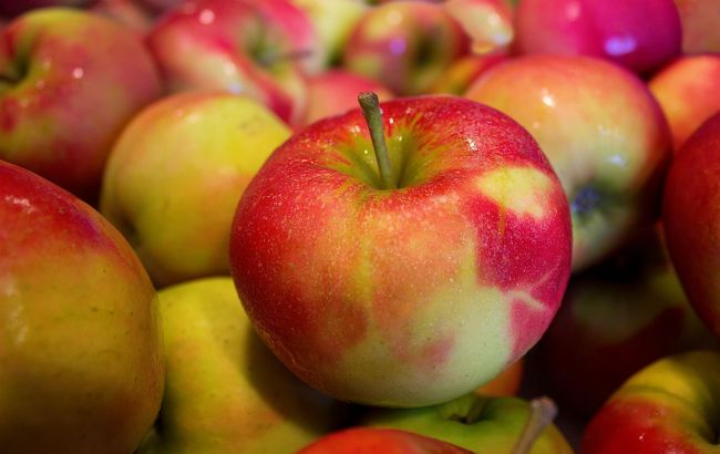 Ціни на яблука в Україні рекордно впали: названо причини і вартість
