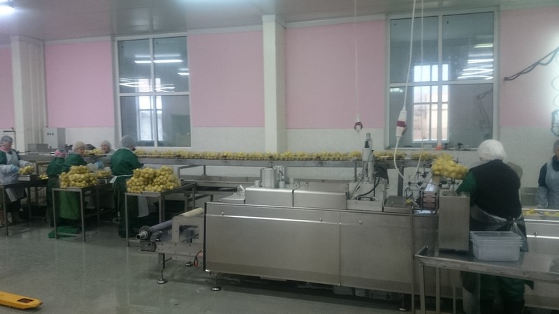 «Ніжинський консервний завод» розпочав випуск чищених вакуумованих овочів