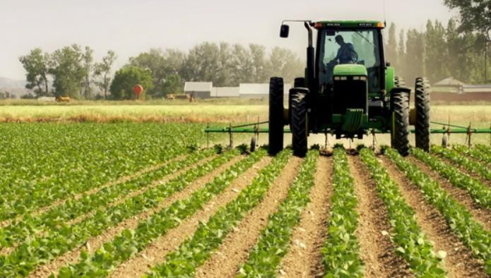 Верховна Рада прийняла закон щодо стимулювання фермерських господарств