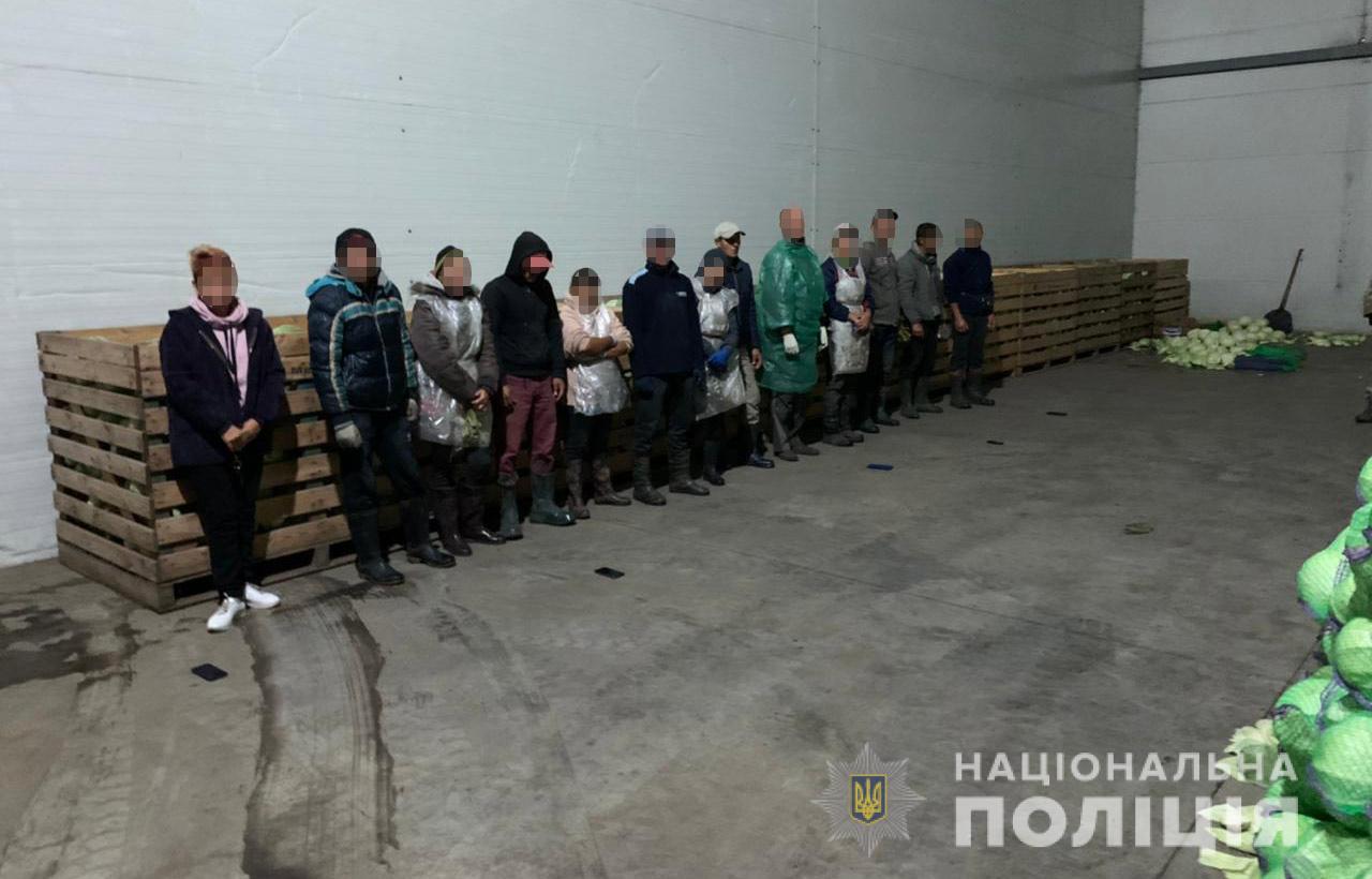 На Дніпропетровщині звільнили з трудового рабства 60 осіб