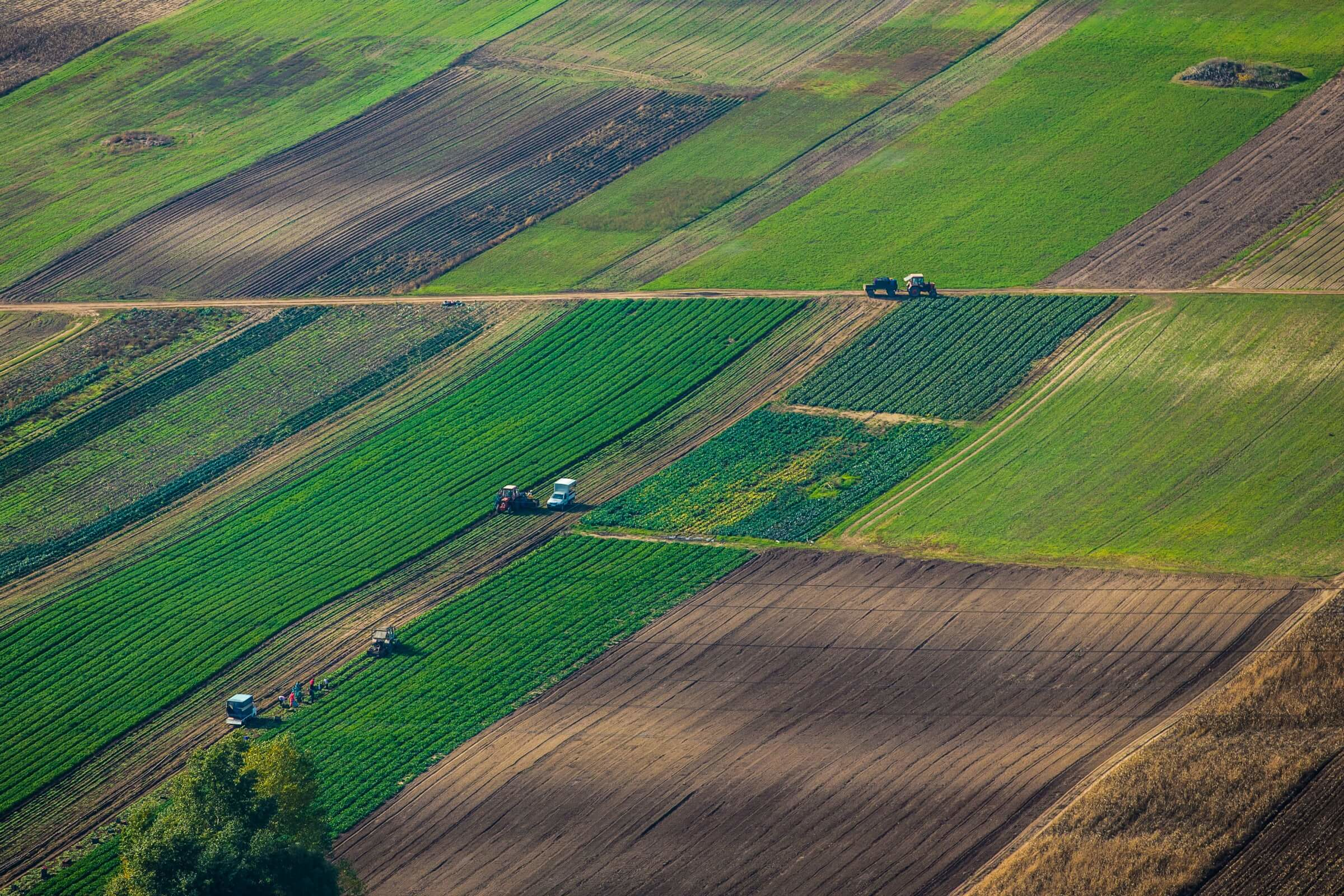 В Україні зареєстровано 23 700 земельних угод