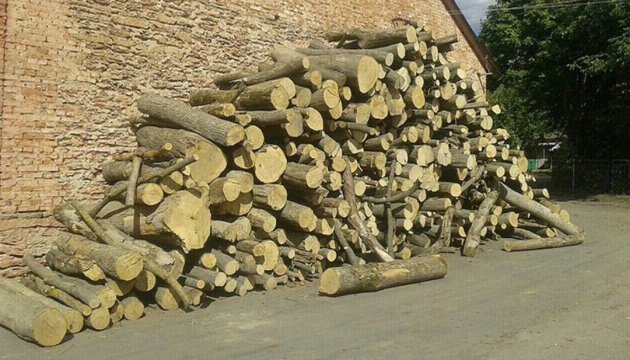 Україна може відкрити експорт деревини вже цьогоріч – Держлісагентство