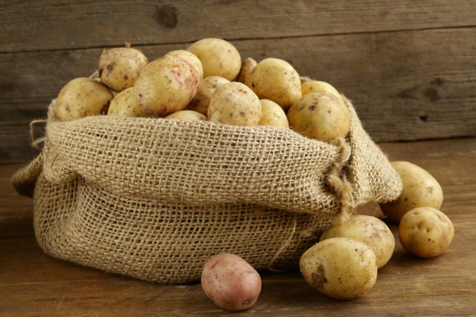 Україна купує картоплю в Молдови та продає у Білорусь