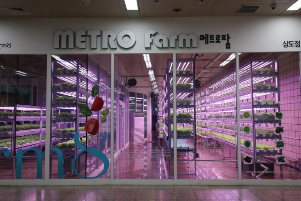 Корейський стратап вирощує зелень у метро