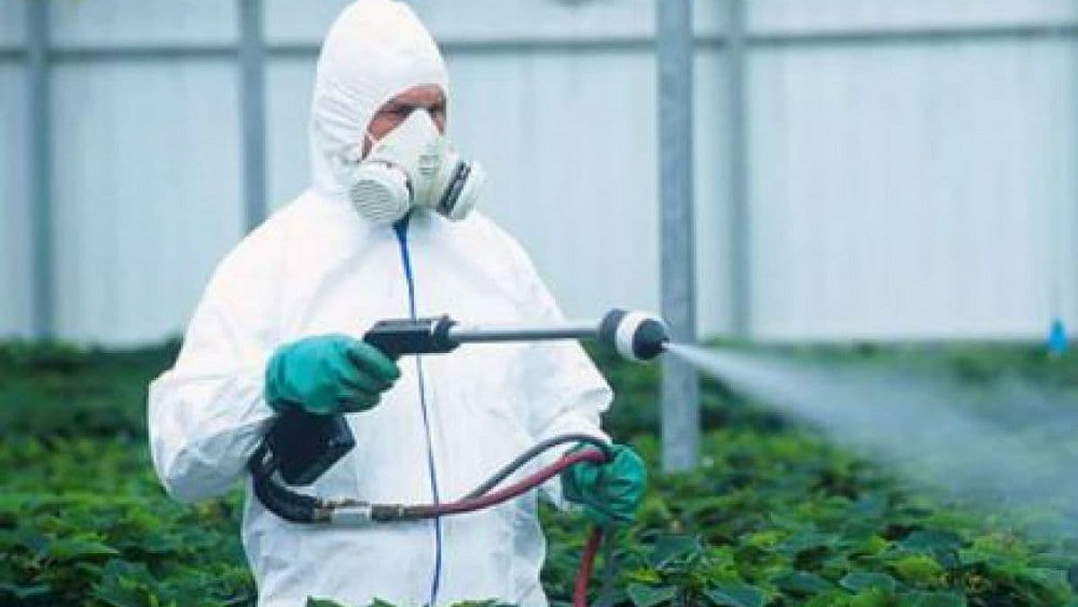 Держекоінспекція перевірить використання пестицидів на підприємствах
