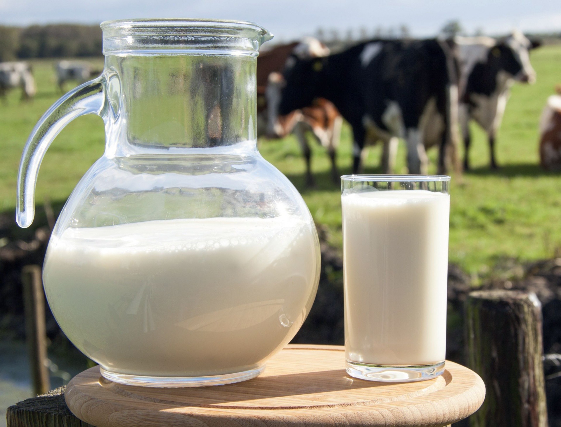 Надходження молока у переробку продовжує скорочуватися