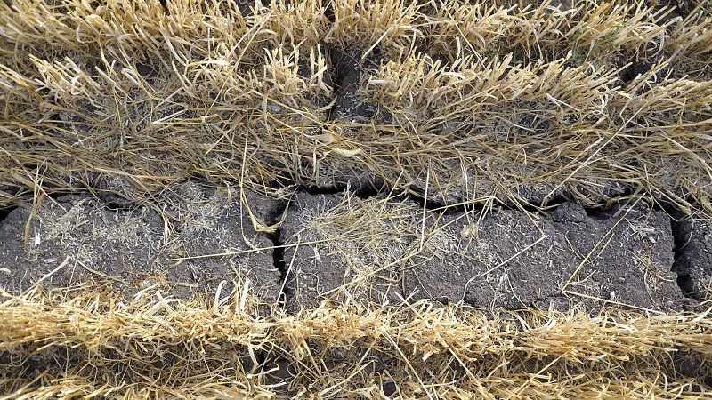 ФАО допоможе боротися з деградацією ґрунтів на Луганщині
