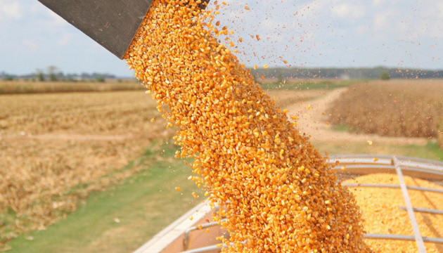 Аграрії зібрали вже 56,3 млн тонн зерна