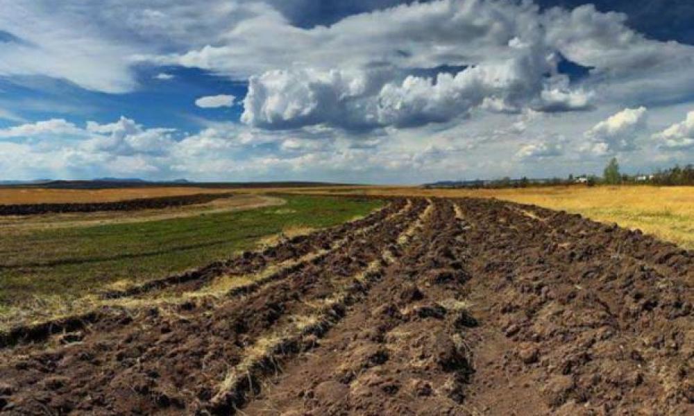 В Україні штрафи за самозахоплення земель планують збільшити у 100 разів