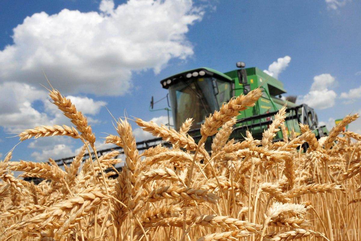 Аграрії намолотили вже майже 50 мільйонів тонн зерна