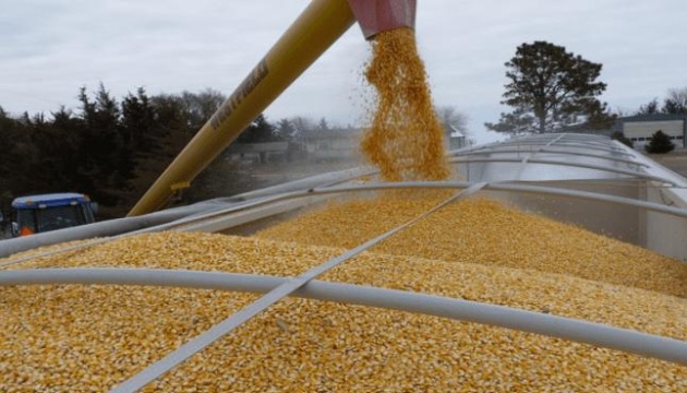 В Україні намолотили більше 52 мільйонів тонн зерна