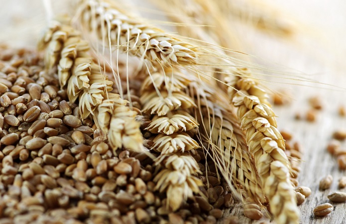 Виробники борошна відмовилися від підписання Меморандуму про граничні межі експорту зернових