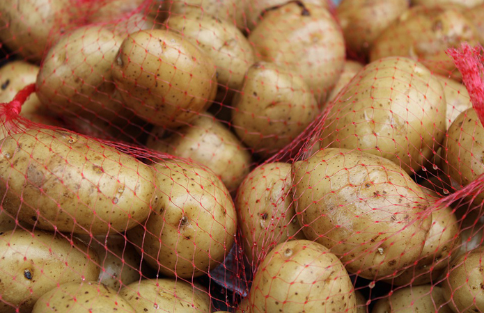 Зростання цін на картоплю спровокує імпорт