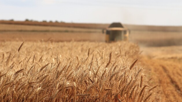 Вивозити вже нічого: трейдери експортували з України близько 10 млн т продовольчої пшениці