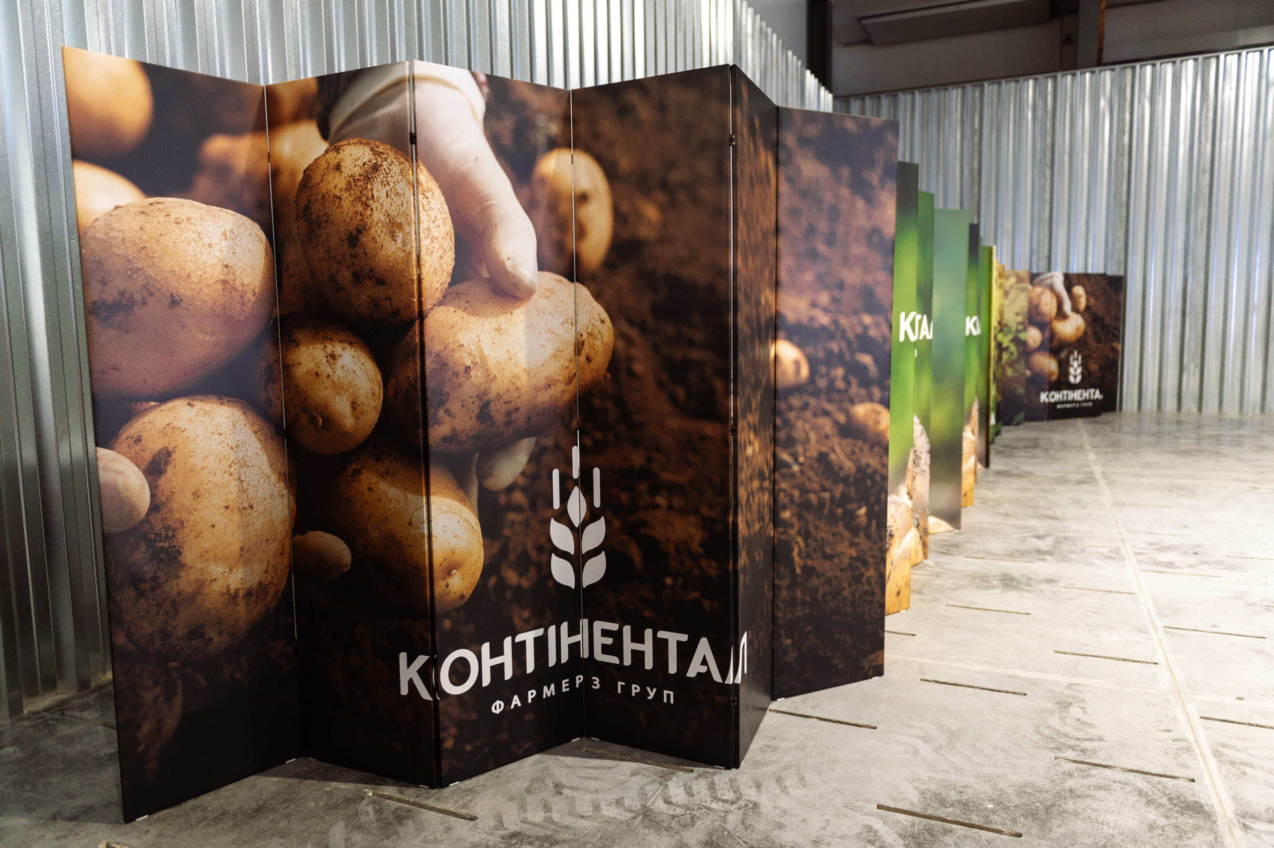 На Львівщині планують вирощувати “картоплю фрі”
