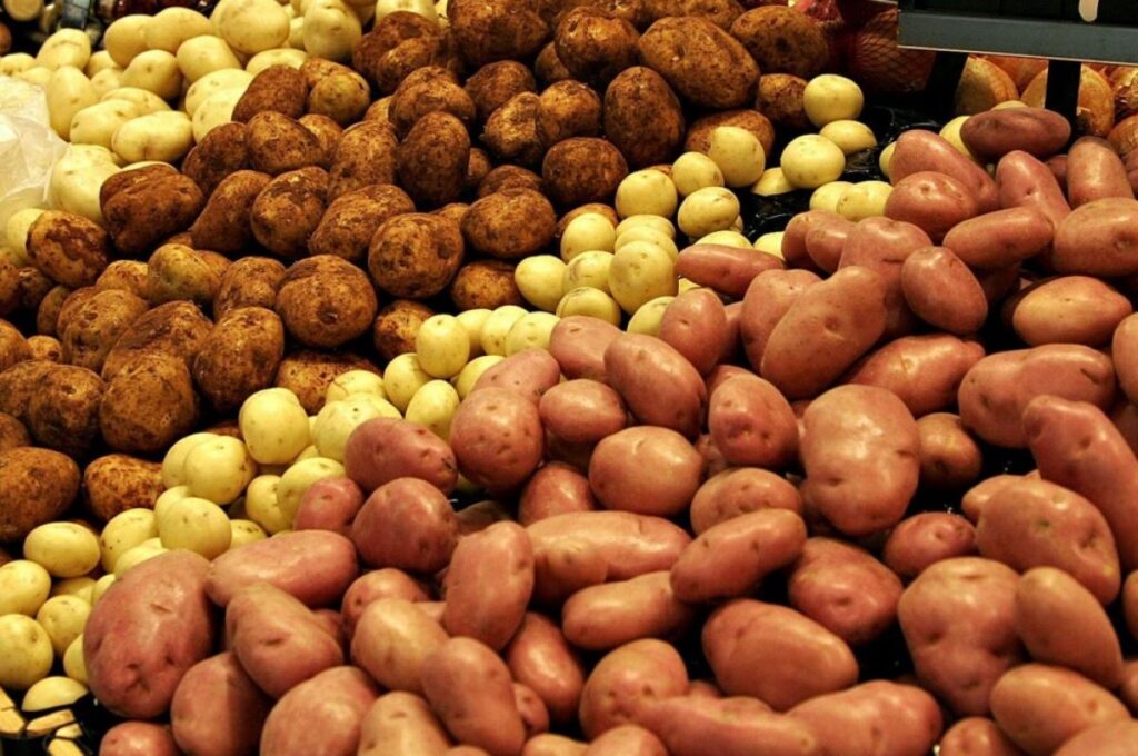 Вітчизняні фермери продають картоплю з нульовою рентабельністю