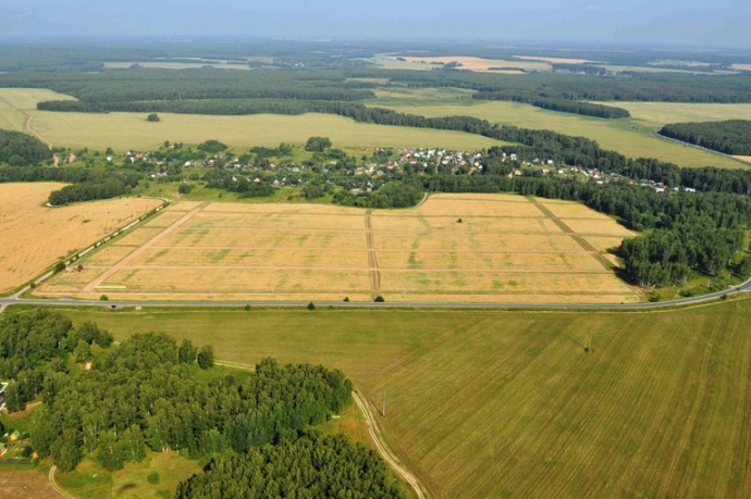 Ціна гектару на Львівщині вища від середньої по країні на 70%