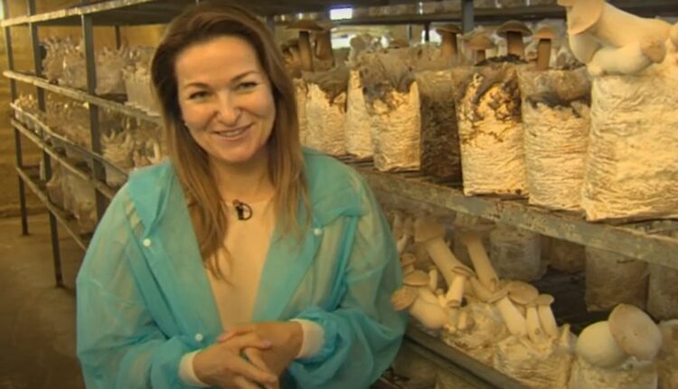 Десять видів екзотичних грибів вирощують на Київщині