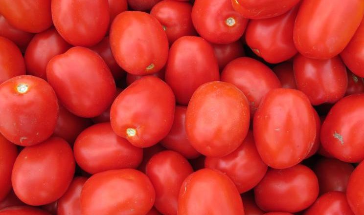 В Україні томати продають за літніми цінами