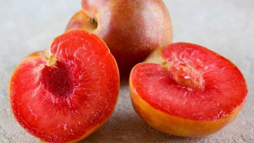 Гібрид сливи та абрикосу: селекціонери вивели новий особливий фрукт