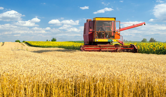В Україні намолочено 76,7 млн тонн зерна