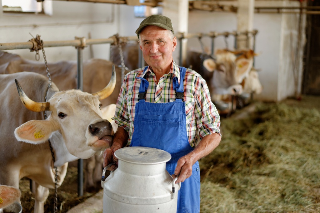 В Україні створять 5 тисяч сімейних молочних ферм