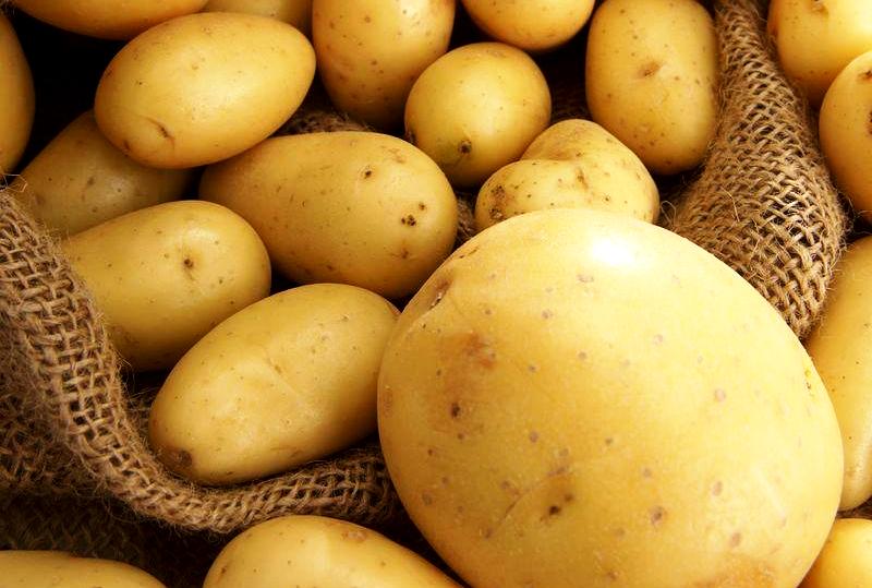 Україна нарощує експорт картоплі: хто купує