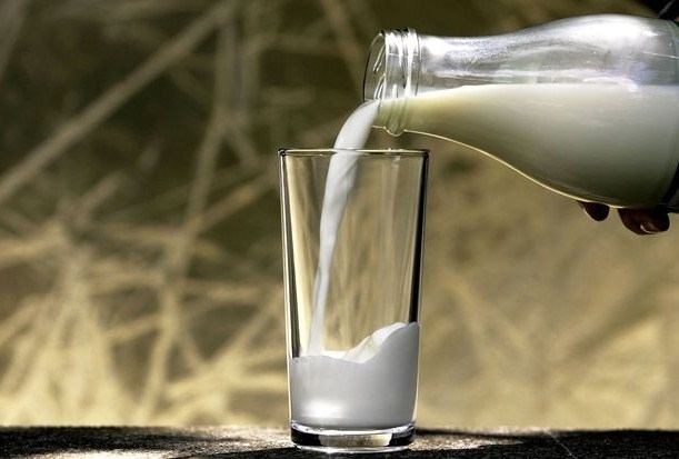 Відтерміновано наступний етап підвищення допустимих рівнів критеріїв до сирого молока