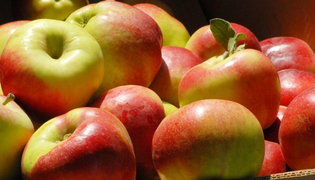 В Україні дешевшають яблука, але не всі: яка вартість