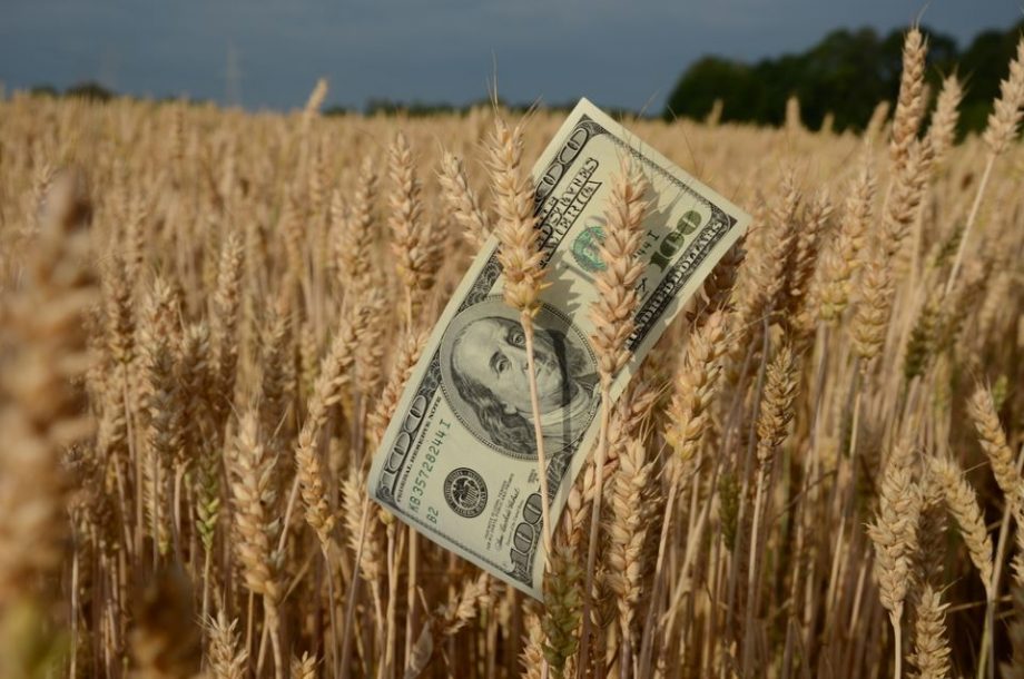 Погані погодні умови та російсько-український конфлікт можуть підняти ціни на пшеницю у світі