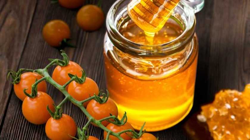 Помідори зі смаком меду: селекціонери виростили унікальний овоч
