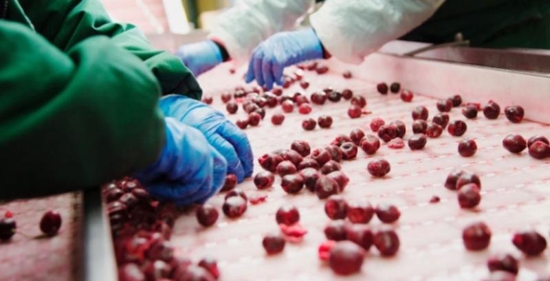 На Львівщині запрацює новий завод із переробки фруктів