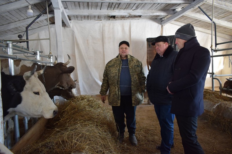 На Вінниччині відкрили першу в області сімейну молочну ферму
