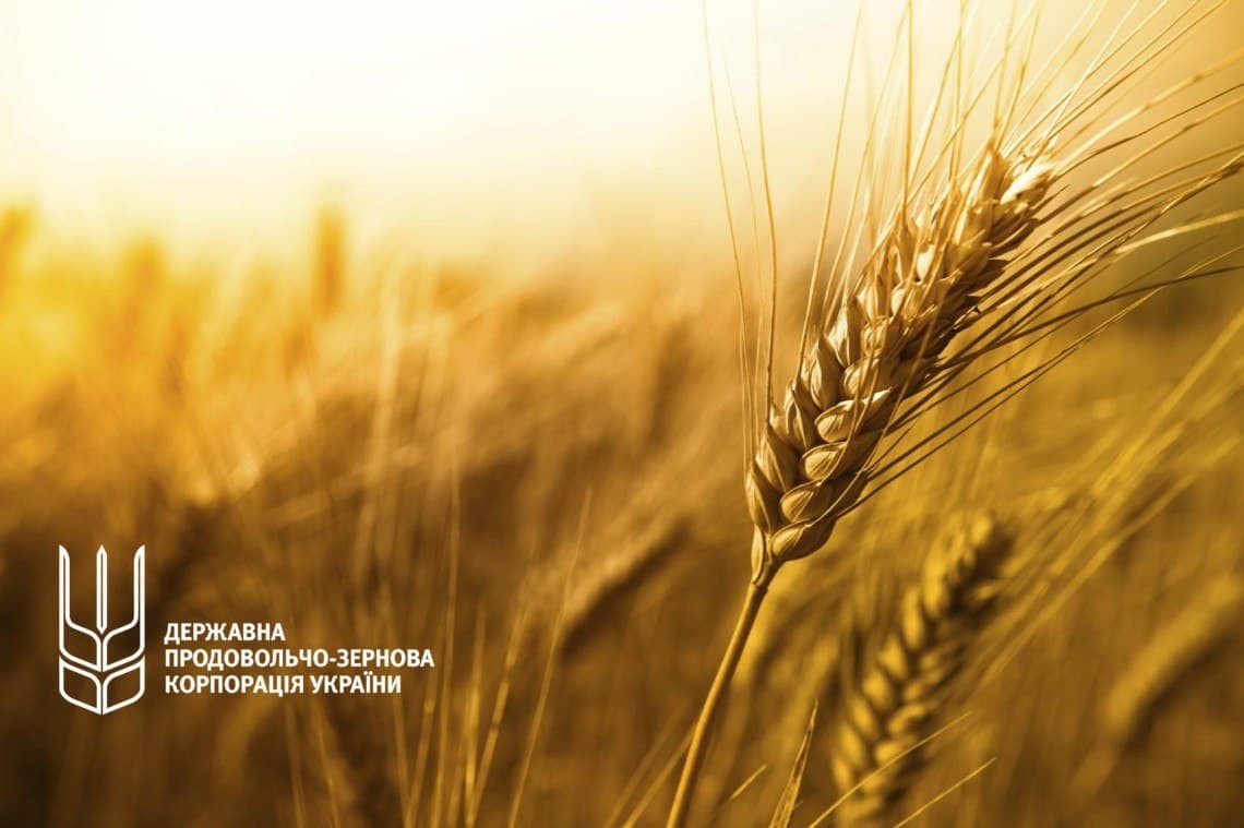 ДПЗКУ запровадила пільговий період на послуги із зберігання та переміщення зернових