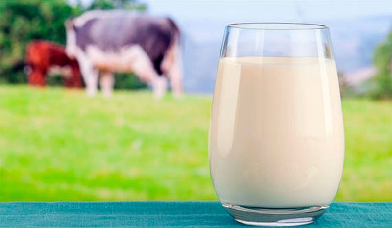 “Сімейні молочні ферми” отримали майже мільйон гривень за програмою єРобота