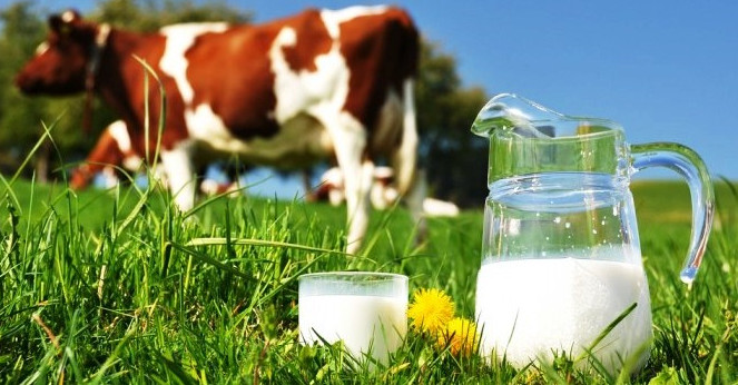 2021 рік для виробників молока був одним з найгірших