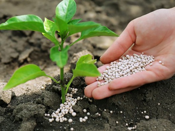 Аграріїї забезпечені мінеральними добривами для весняно-літніх польових робіт на 11%, – Мінагрополітики