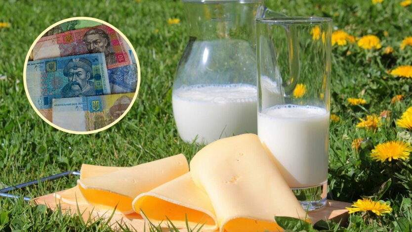 В Україні дорожчає сир та молоко