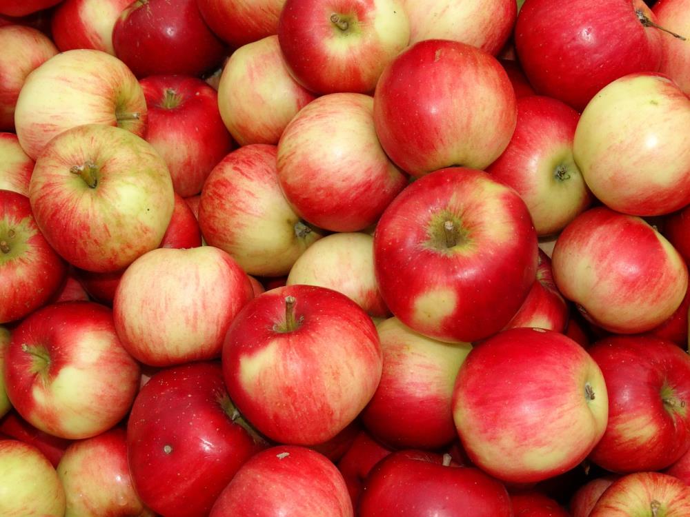 Сербія та Хорватія обійшли Україну за обсягами експорту яблук до Сінгапуру