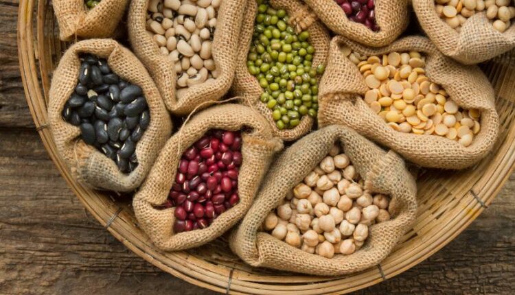 На Львівщині виробникам нішевих культур частково відшкодують вартість придбаного насіння