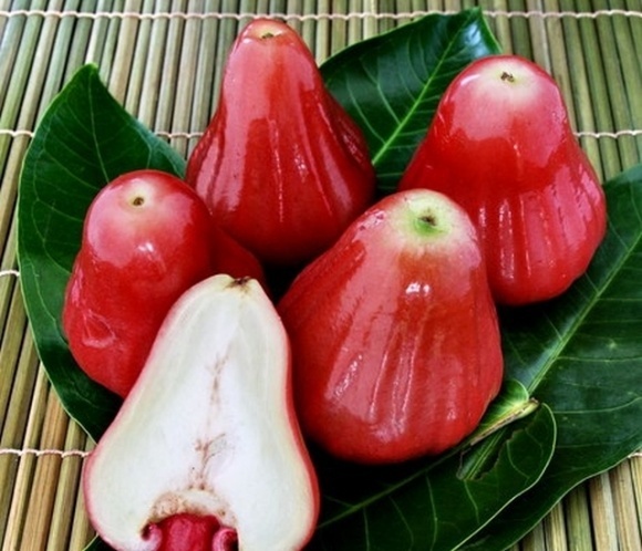 Тайські вчені вивели універсальний сорт яблук