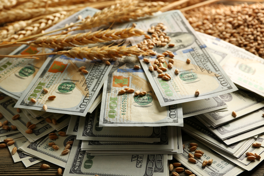 Ціни на пшеницю продовжують спекулятивне зростання